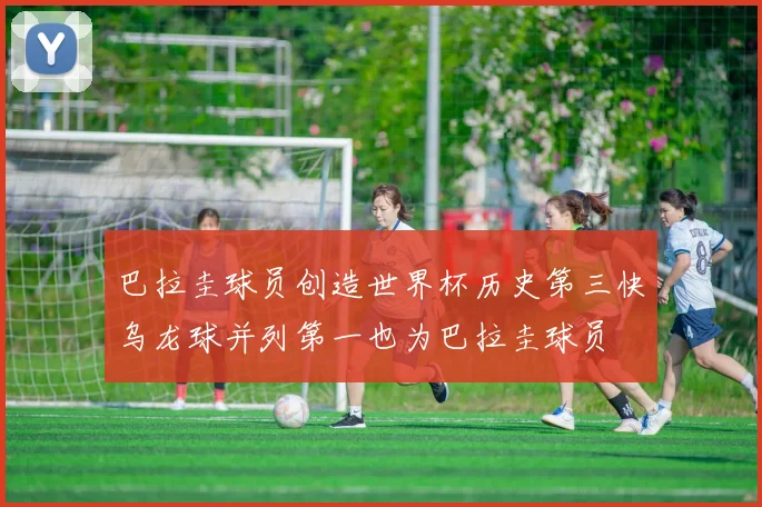 巴拉圭球员创造世界杯历史第三快乌龙球并列第一也为巴拉圭球员