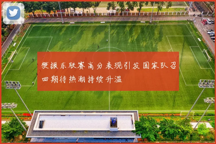 樊振东联赛高分表现引发国家队召回期待热潮持续升温