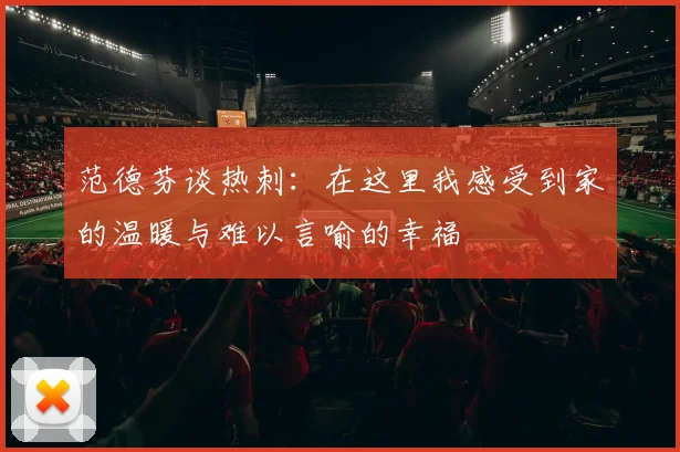 范德芬谈热刺：在这里我感受到家的温暖与难以言喻的幸福